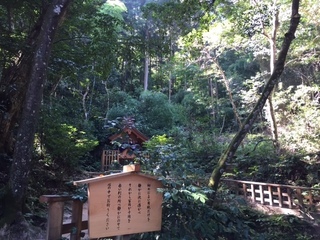 八重垣神社 裏山.jpg